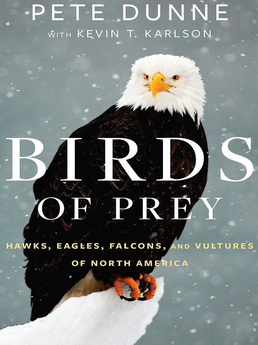 Title details for Birds of Prey by Pete Dunne - Wait list